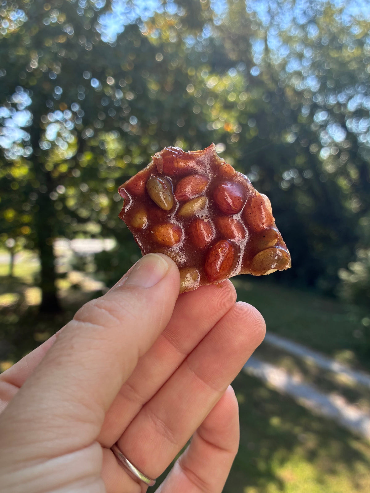 Pumpkin Spice Brittle Snack Bag 4oz